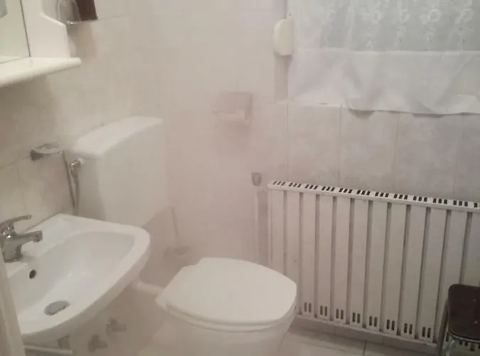 Marijana セルツェ