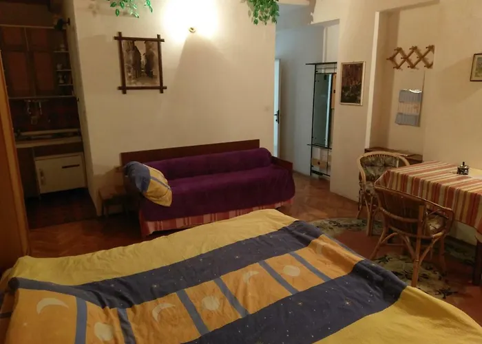 Marijana セルツェ